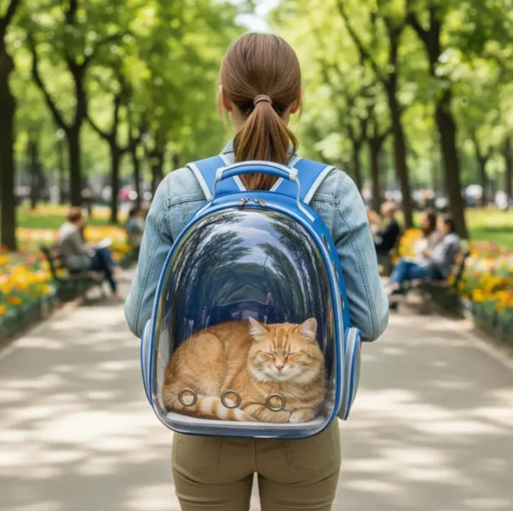 Tranportín de gatos Azul 43x32x20 cm (altura, largo, ancho) | Modelo Puppy Carrier