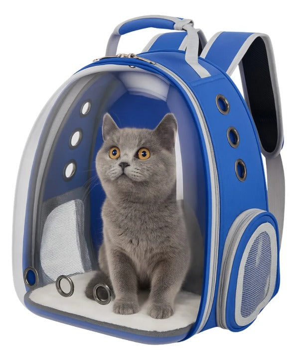 Bolso para gatos veterinario