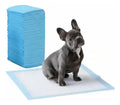 Empapadores Absorbentes para Perros GLOPI 60x60 cm – Pack 50 Unidades | Ideal para Departamentos