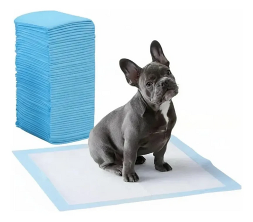 Entrenamiento de pipi para perros